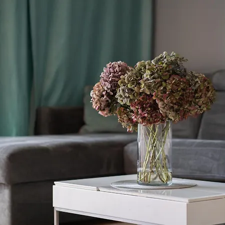 Apartmán - Marina Iława